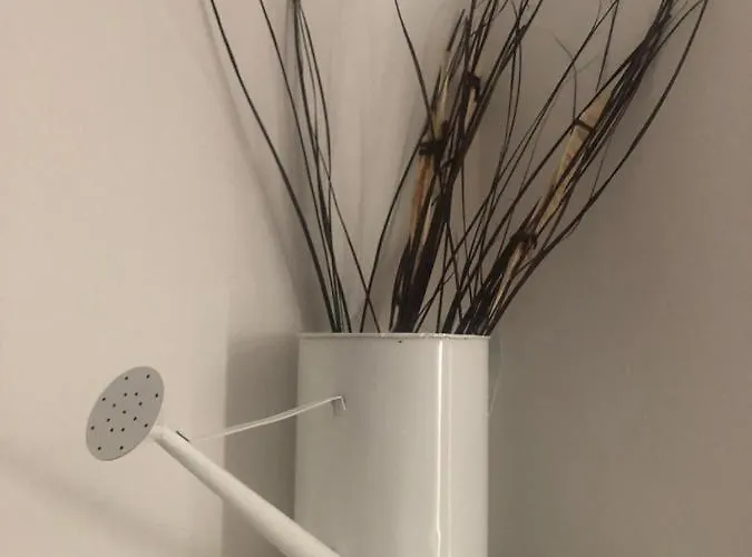 Myroom Sui Portici